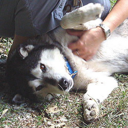 Jonah gets a chest scratch