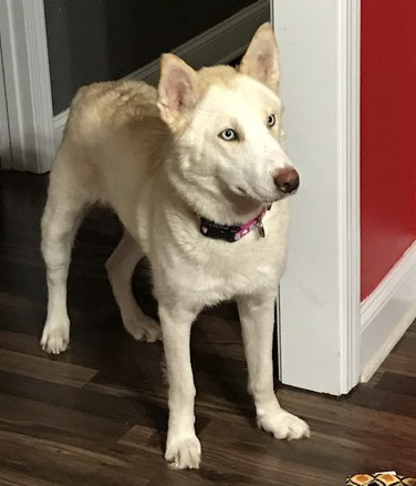 Nahla Nahla