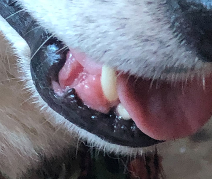 Kiko's mouth