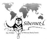 Sibernet-L Logo
